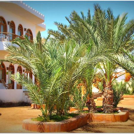 Shams Hotel & Dive Centre Dahab Exteriör bild