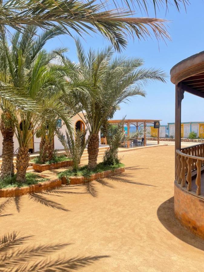 Shams Hotel & Dive Centre Dahab Exteriör bild