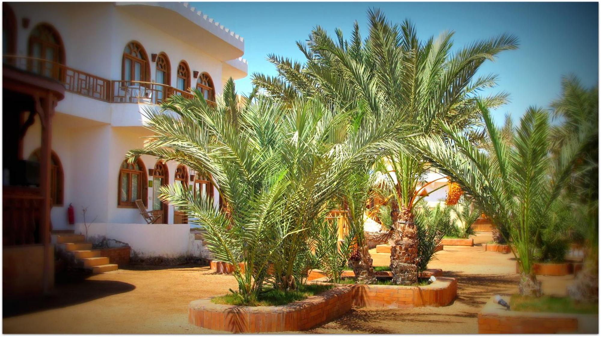 Shams Hotel & Dive Centre Dahab Exteriör bild